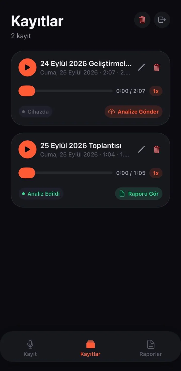 Kayıtlar ve analiz durumu